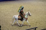 Quadrille - 00361